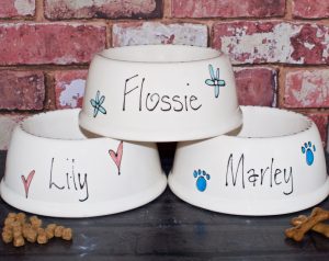 Personalised Slanted Ceramic Dog Bowls — Whimsical