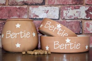 Personalised Dog Treat Jar & 2 Bowls Set — Beige Polka
