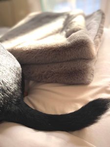 Luxury Faux Fur Dog Blanket — Taupe Grey Softee