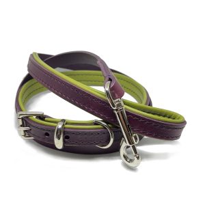 Leather Dog Lead — Aubergine & Olive