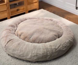 Dog Owners gifts