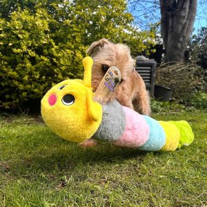Dog Owners gifts