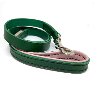 Leather Dog Lead — Forest Green & Blossom